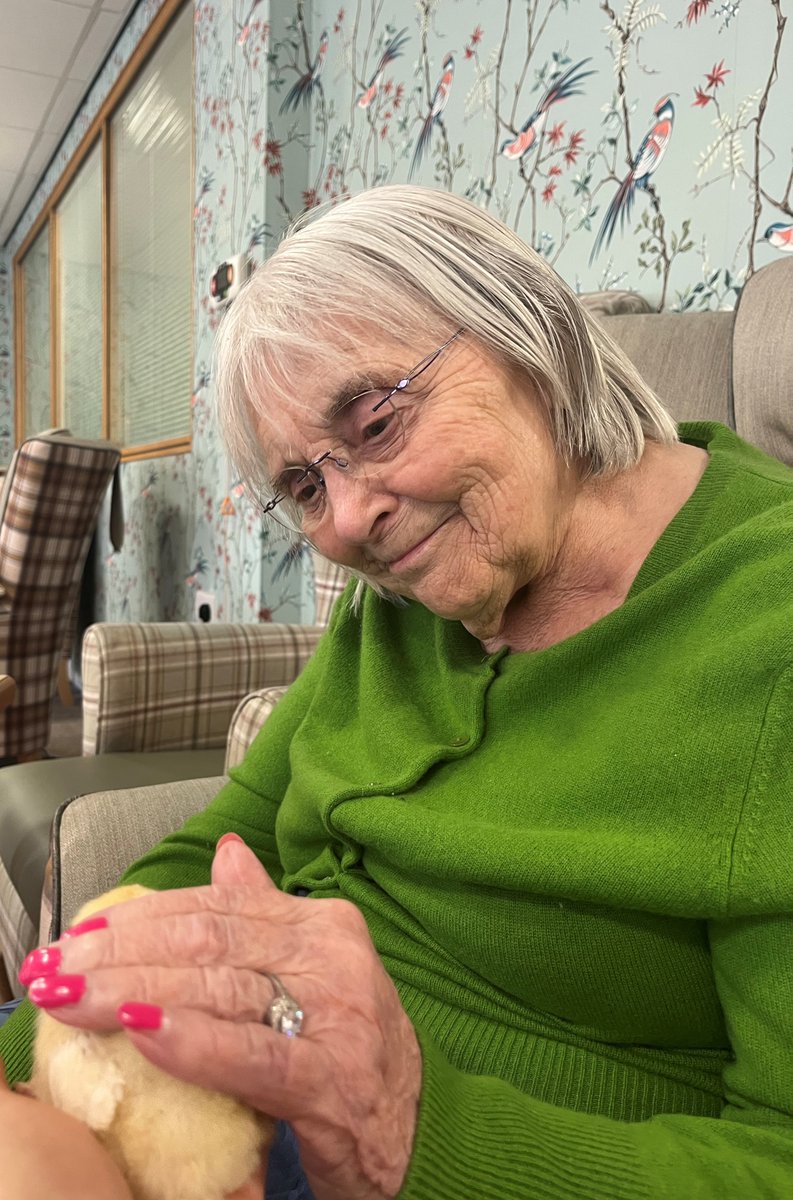 TrinityFold's tweet image. 🐤🐣