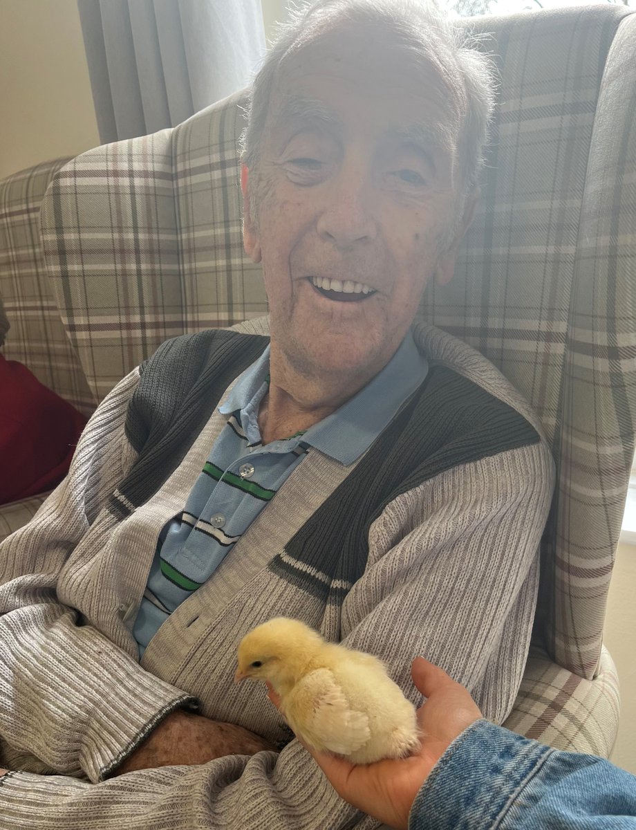 TrinityFold's tweet image. 🐤🐣