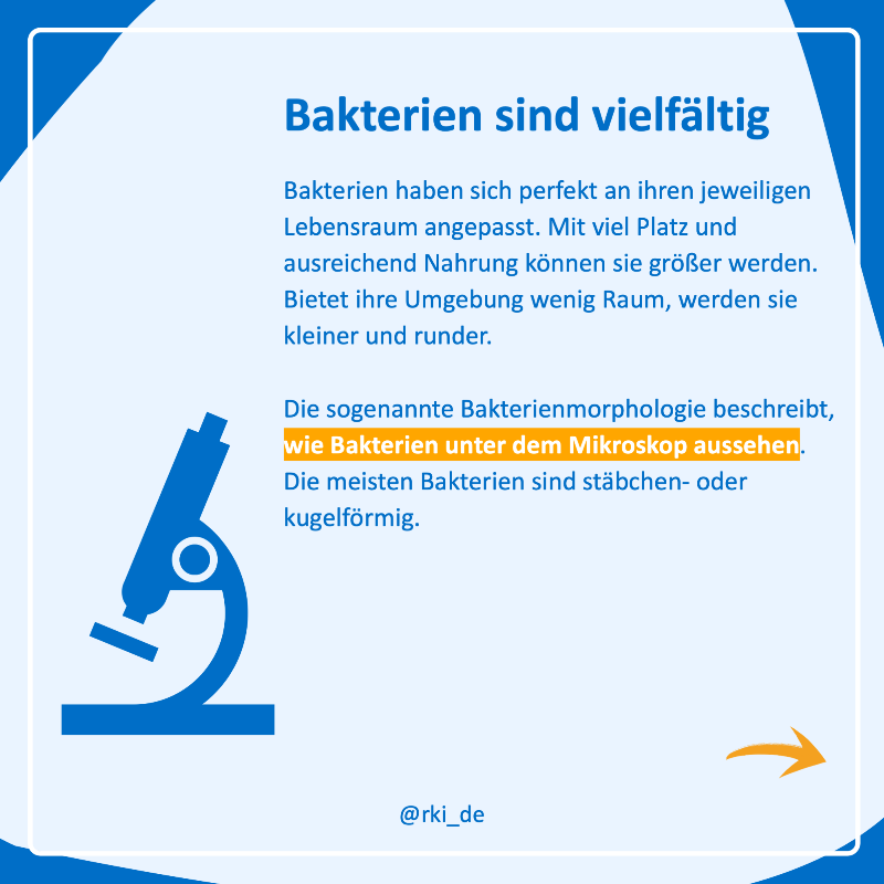 rki_de's tweet photo. Sie sind kugelförmig oder sehen aus wie Stäbchen, Korkenzieher oder eine Spirale: #Bakterien sind vielfältig und können sich perfekt an ihren Lebensraum anpassen. 
Einige von ihnen sind #Krankheitserreger – welche, das erklären wir in #WasIstEigentlich.