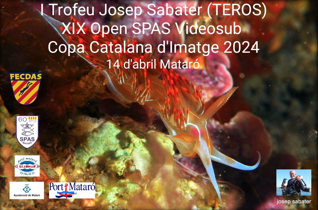 📹 I Trofeu Josep Sabater 🤿
XIX Open SPAS Videosub
Copa Catalana d’imatge 2024

📅 Diumenge 14/4
📌Zona de competició 👇
La Trencada <a href="/portdemataro/">Port de Mataró</a>

<a href="/spasmataro/">SPAS-Mataró</a> <a href="/FECDAStwit/">Federació Catalana d′Activitats Subaquàtiques</a> 
<a href="/Blaumar94/">Blaumar</a> #EsportMataró

bit.ly/4cIssQp