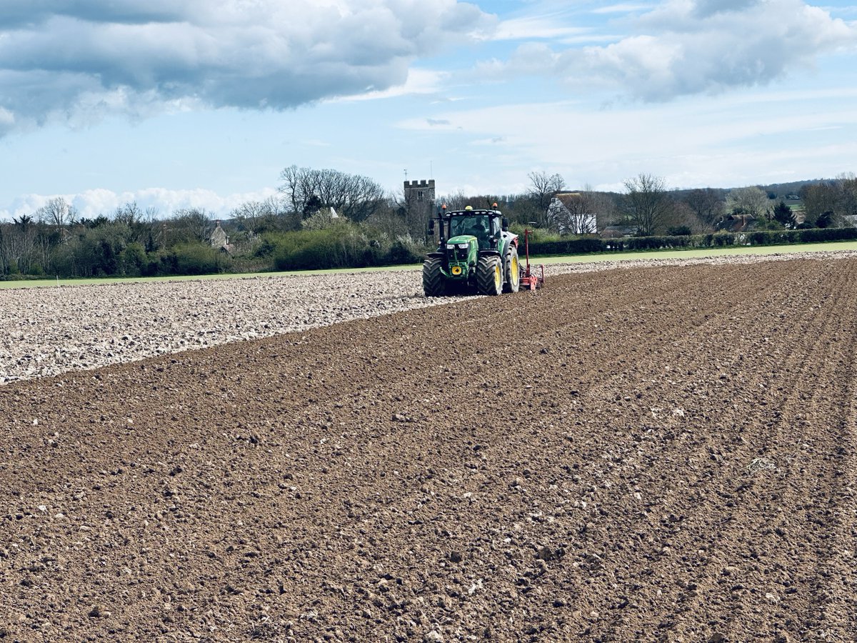 Our teams are hard at work across the country. Here is a Recommended List and National List Spring Peas trial drilled at Littlebourne in Kent yesterday before the rain! Thanks to the efforts from NIAB’s Lorenzo, Talha and Abdul.