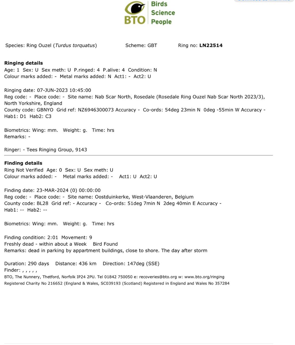 ouzelman's tweet image. Ringing recoveries of Ring Ouzels are rare but this bird, ringed in Rosedale in 2023, turned up in Belgium recently. Sadly dead, it seems to have been blown off course on its first return journey. Ouzels tend to migrate up the west side of Britain to their breeding ground.