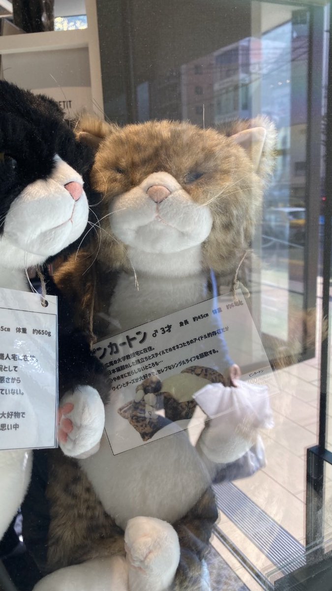 SolLunaStella14's tweet photo. ～ ペンケース ～

「かわいいなぁ🥰💖」
と思って、買ったのよ。
ペンケース☺️💖

………なんだろうなぁ、
【既視感】があるなぁとは思ったんだけど……

貴方(アドラさん @AdraGame)だったのか……

なんかちょっと………ﾔﾀﾞ💖🤣💦笑 https://t.co/qMcLM3oLNZ