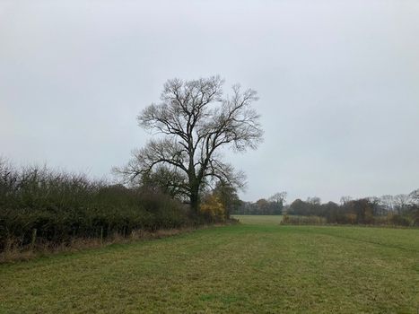 Our Mottey Meadows #NationalNatureReserve Manager Paul Shires discussing with Matt Baker on @BBC #Countryfile last Sunday our conservation work to ensure #blackpoplar trees thrive. Watch at: bbc.co.uk/iplayer/episod… #Staffordshire @mattbakerfans @StaffsWildlife @TheTreeCouncil