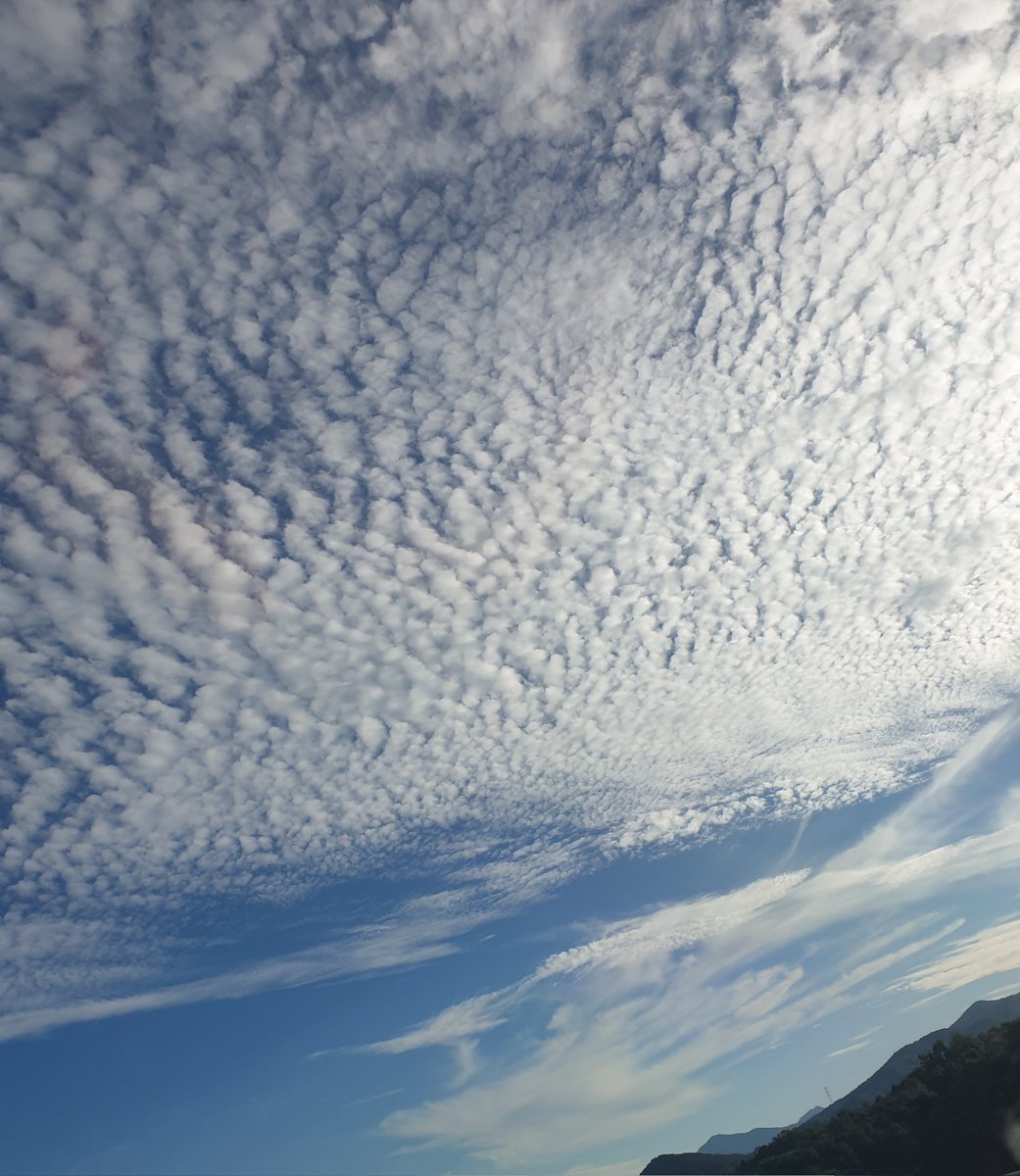 KelenaHa's tweet photo. Me fui al campo donde viven mis padres.  Cielos despejados, libres de polvo fino y flores... Mi ciudad natal es siempre un lugar por el que siento cariño y nostalgia.  Es un día en el que extraño mi ciudad natal en el cielo.

#hogarcelestial
#Madrecelestial https://t.co/Ao4wonhaqS