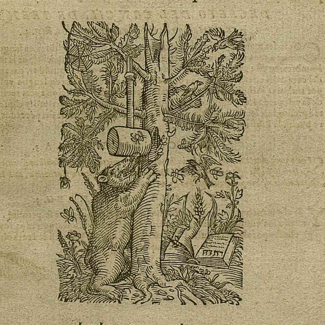 BCN_arxiu's tweet photo. Censura, persecució i una condemna de mort al #DocumentdelMes de l'Arxiu Històric 📜

Un exemplar de 1569 de la primera traducció de la Bíblia al castellà, quan el Concili de Trento prohibia traduir textos sagrats a llengües vulgars ❌

🔗 Descobreix-lo: https://t.co/oezz6UZBgN https://t.co/eIlGrrSgcj