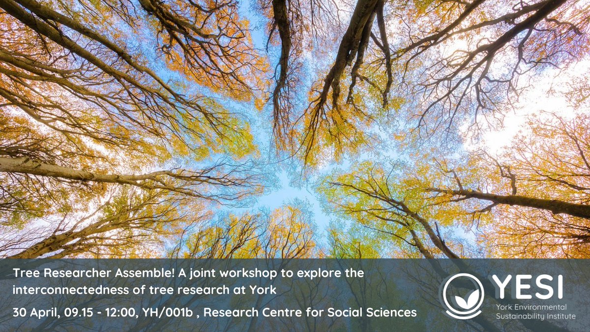 🌳 Join us for a half-day interactive workshop for @UniofYork researchers and explore the many ways tree studies cut across diverse disciplines. 30 April ➡️ow.ly/vt4t50R7gP9 @BiologyatYork @GreenChemYork @UoY_SBS @HealthSciYork @ChemistryatYork @YorkPsychology @CHEyork