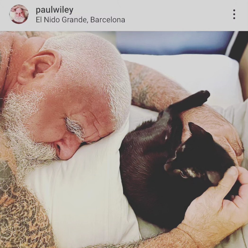 HomoIdeal's tweet photo. How I interact with cats... #catdaddy #gaydaddy #paulwiley https://t.co/1RCNd6J3iX
