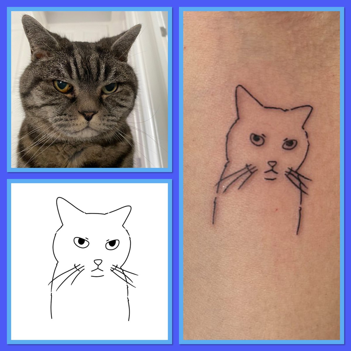 Hello everybody 👋 You all know how very special our beloved Bertie Wooster 💙🌈 was to us & how much our mum still really misses him So she had one of her favourite pics of him drawn by Poorly Drawn Cat & has had it tattooed on her arm 💗🩵♥️
