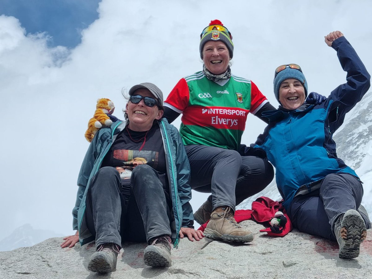 Sinéad Casey 🐈‍⬛⚓⛵🧭❤💚 tweet media