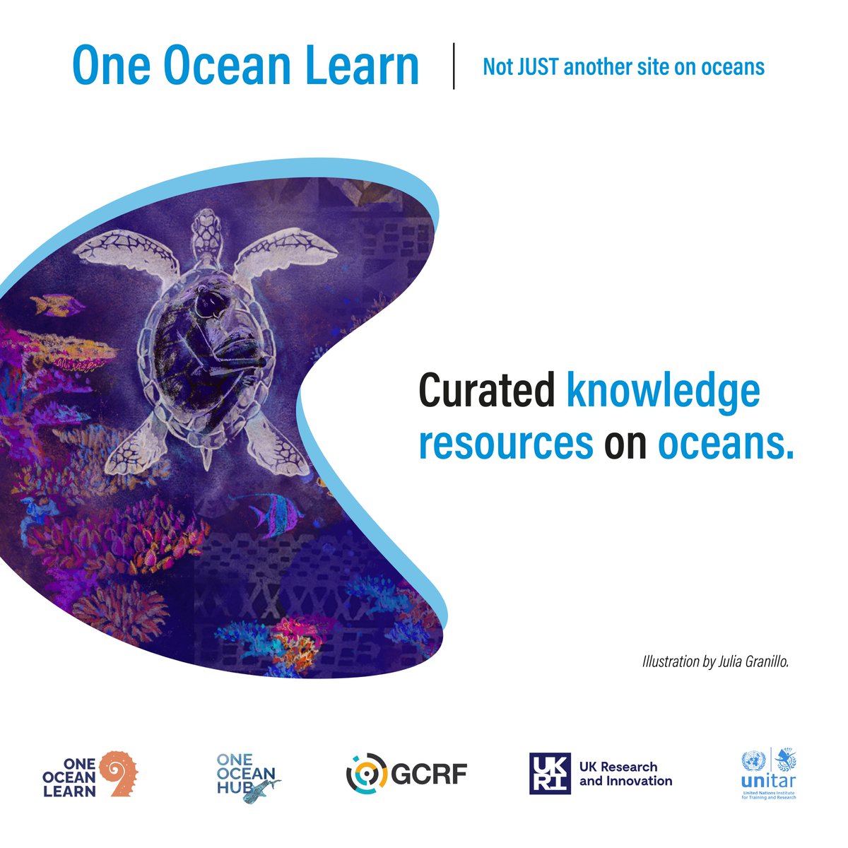 Did you know that our platform offers a treasure trove of resources for free? 🐳 From blogs and scientific articles to videos, courses, and training, we've got everything you need to deepen your knowledge about the #ocean. Explore our resources👉 oneoceanlearn.org/resources/