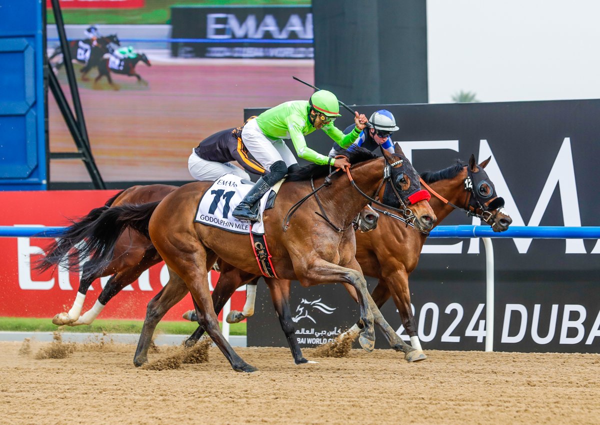 Like father/like son... 💞 TAMARKUZ (left) winning the 2015 G2 Godolphin Mile, nine years before his son TWO RIVERS OVER did the same thing! #DWC24