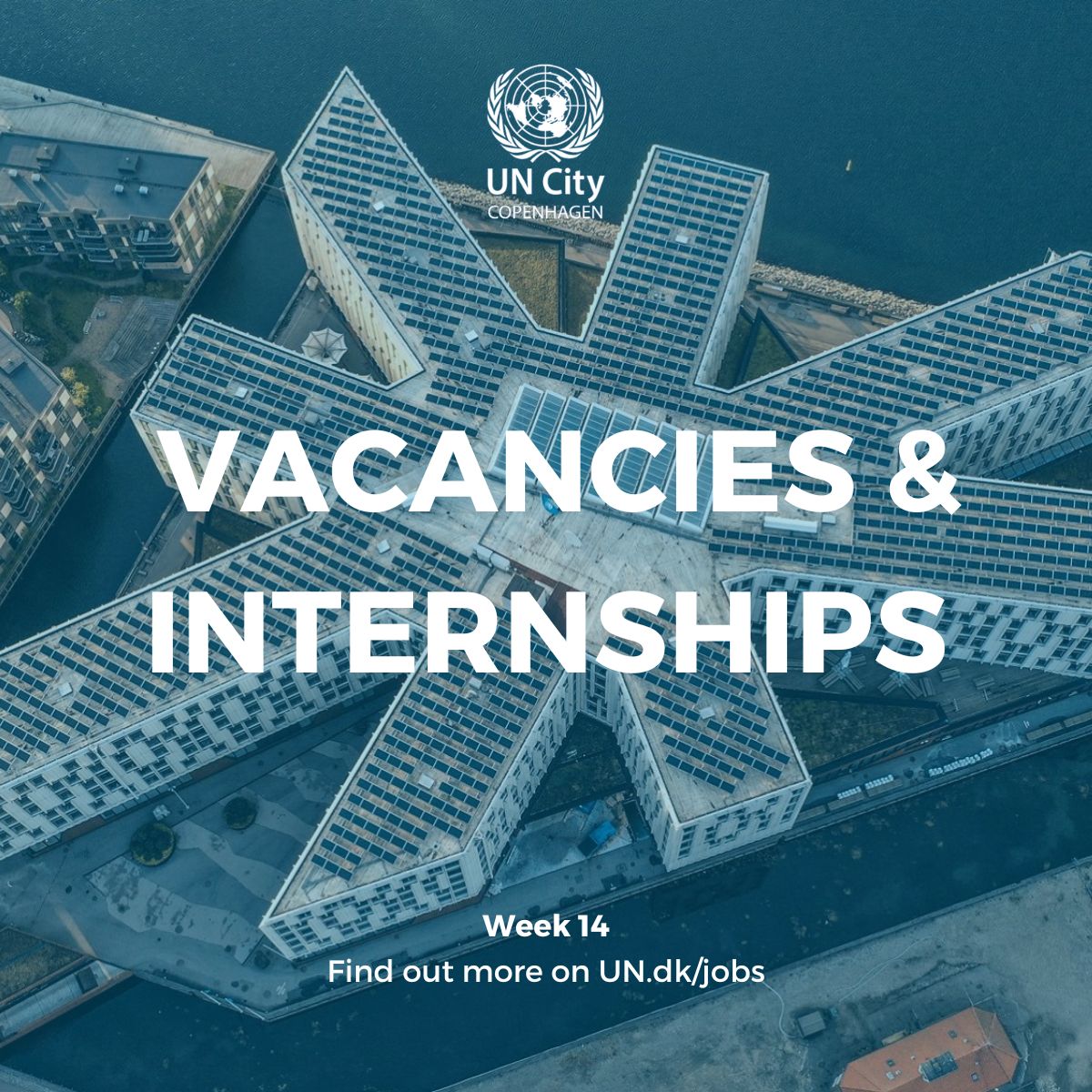 🌍 Apply fro the United Nations Paid Internship Program! Apply now for positions in Human Resources, Green Energy, IT, and more. Deadline: April 9th for HR, April 30th for others. Visit ➡️ bit.ly/3RZGnKb

#UnitedNations #Internship #GlobalOpportunity #paidinternship