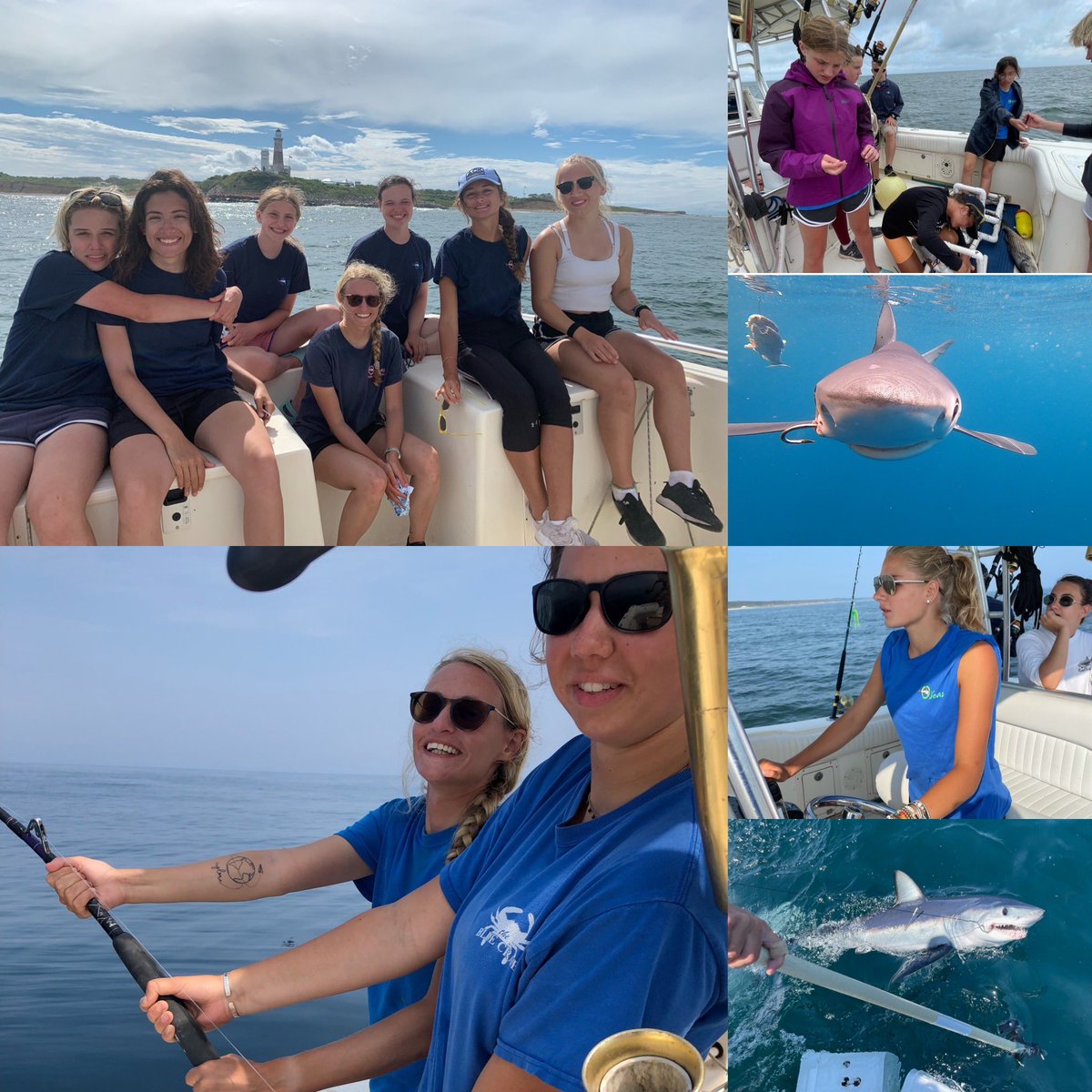 $500 scholarship available for our girl’s #sharkcamp in #montauk, ny! This opportunity is open to high school students and details can be found by emailing us at oseasfdn@gmail.com. Good luck!!! oseasfdn.org