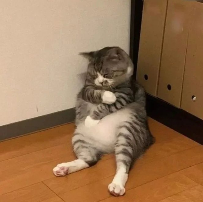 Something has indeed been cooking, and its the launch of our own #Meme token: $MOEW <a href="/donotfomoew/">MOEW 喵王🩵😺</a> 🐱

Just for funsies, nothing too serious 😀 We wanna see what the power of memes can do.

Peek the details here ⬇️

<a href="/base/">Base</a> #base