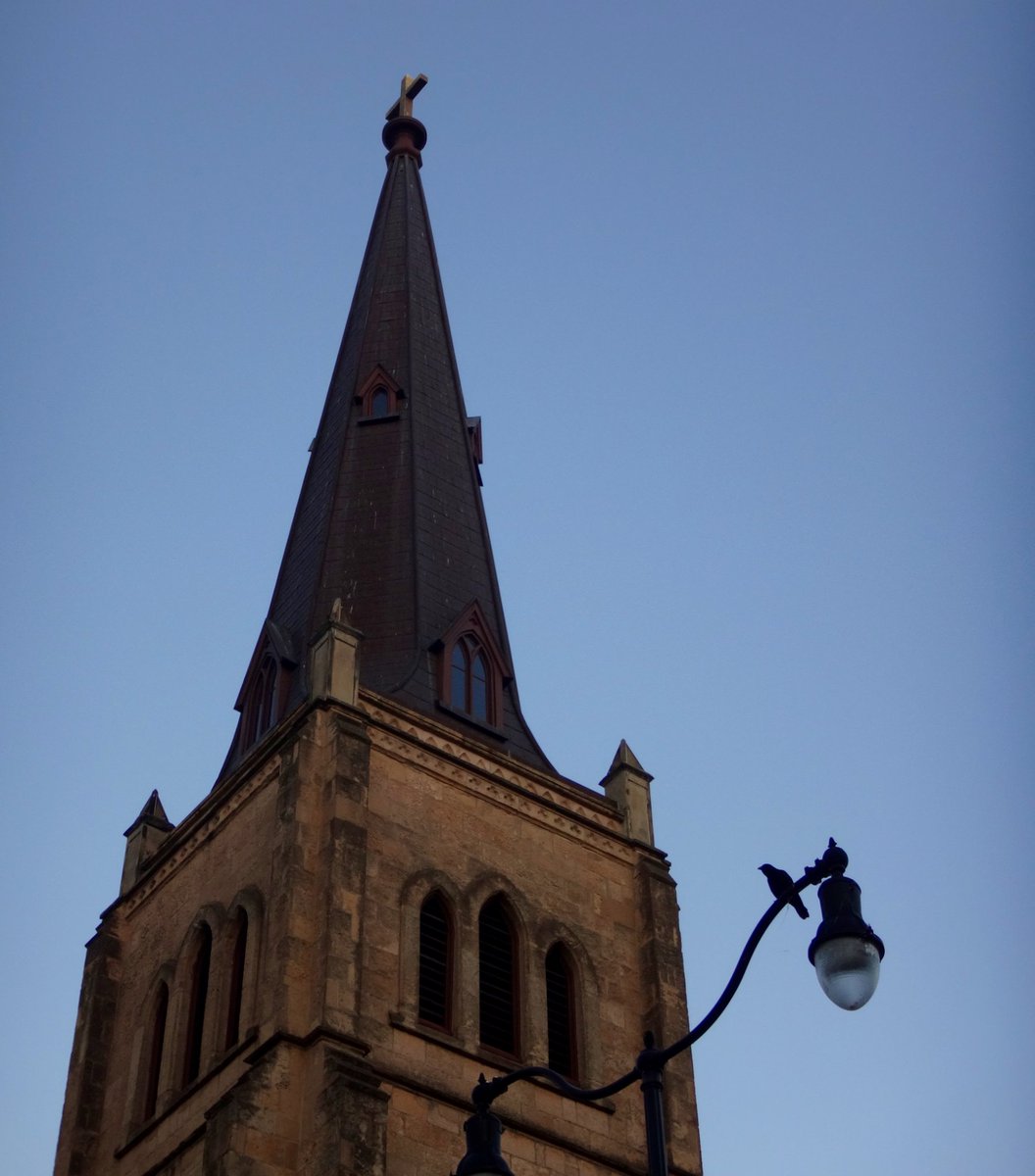 Church and crow. #birds #wildlifephotography #WildlifeWednesday #WildlifeInTheCity