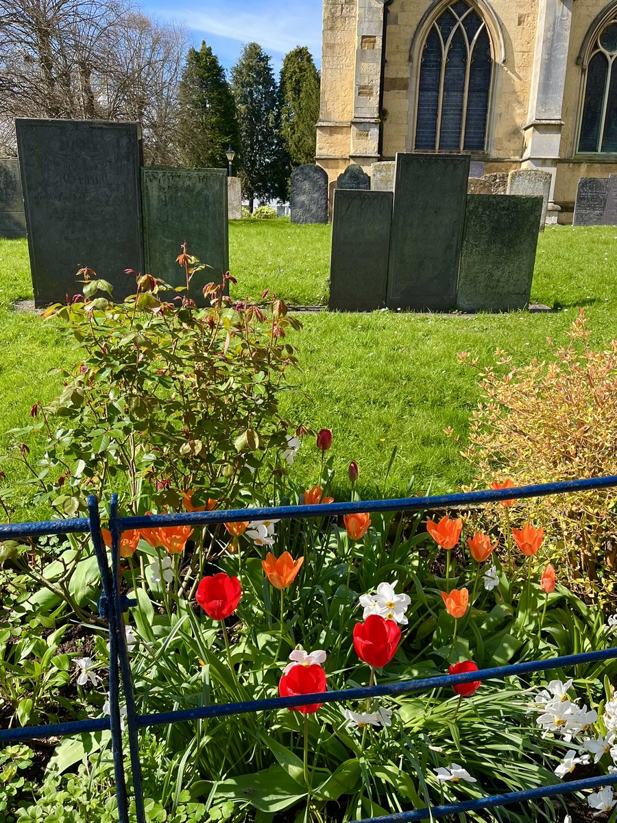 St Mary’s Church & the Spring blooms looking beautiful in the sunshine. 🌷 Great work St Mary’s Church and @BloomMelton #melton #meltonmowbray #springiscoming #springflowers