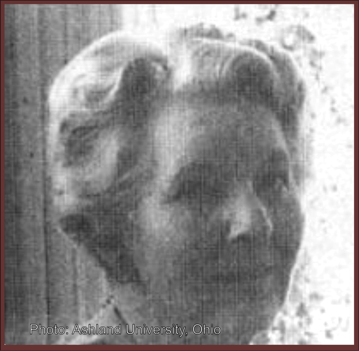 Born 4th April 1906 in Ohio, Eunice Lea Kettering began composing as a child and later studied at Oberlin Conservatory and with Bartók. She created many works and had over 20000 copies published. She was the first woman to gain Fellowship of the American Guild of Organists.