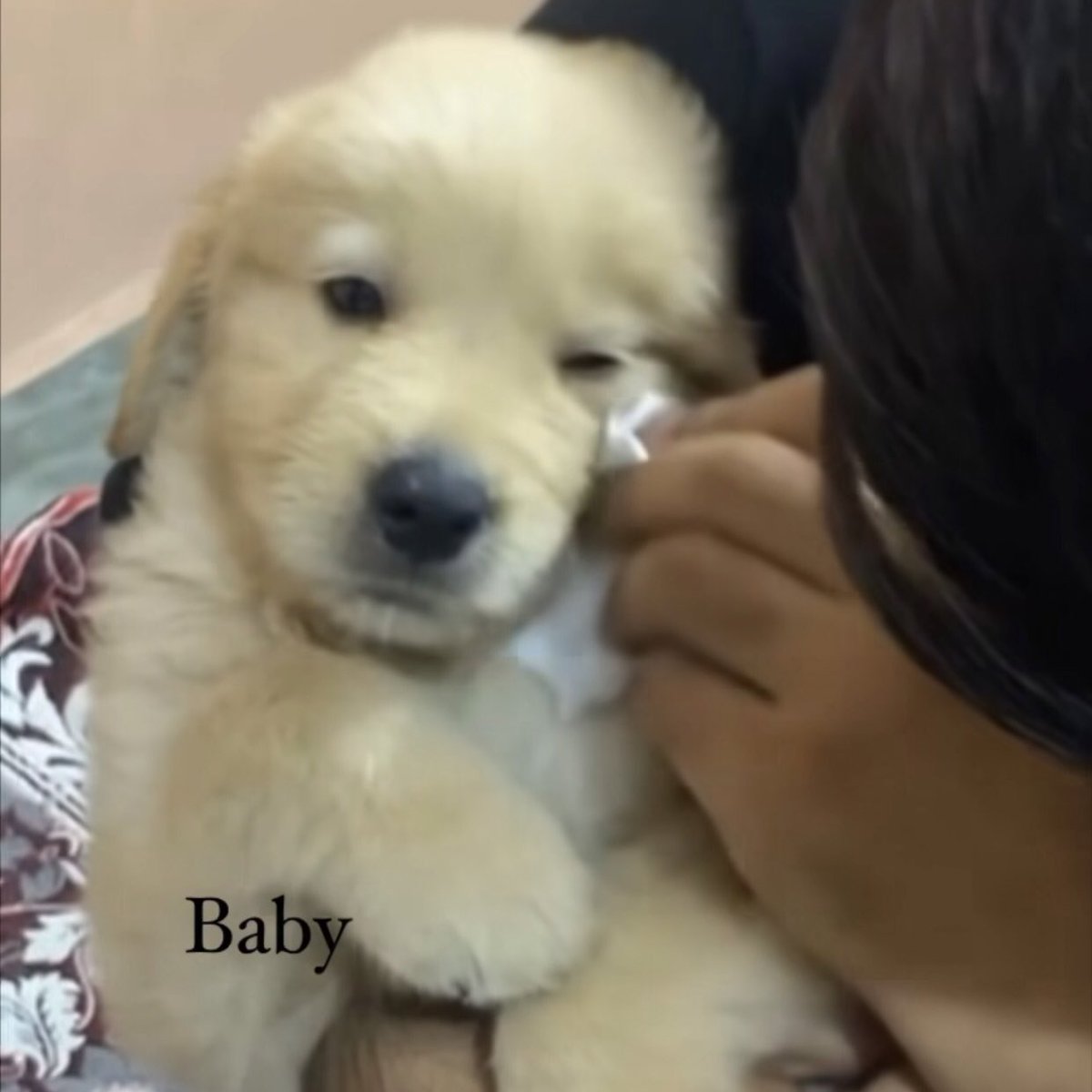 takemybear's tweet photo. ก่เทอพุดว่าไม่รักไง เค้าเลยเสียน้ำตา https://t.co/wP4N5W5P6n