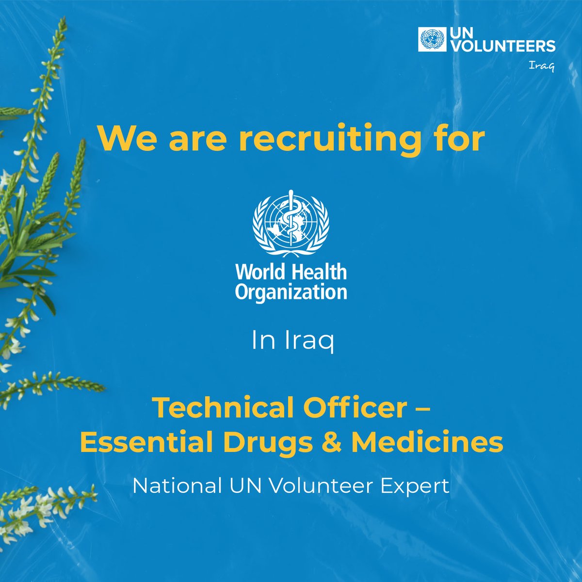 Are you an expert with 15 years of experience? @WHOIraq is recruiting a UN Volunteer to serve as a Technical Officer - Essential Drugs and Medicines. Check the requirements and apply: bit.ly/4cEDNB7