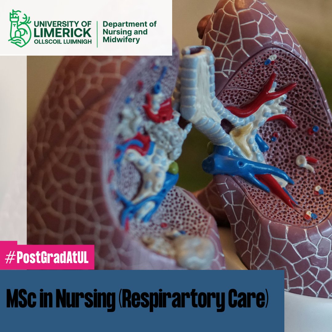 Interested in pursuing an MSc in Nursing (Respiratory Care)? 

Applications close: Friday 28th June '24.

NMPDU/CNME funding closes 31st May 24.

Thinking Postgrad? Think UL.

Apply online today or find more information at ul.ie/gps/course/nur…

#PostgradAtUL #UL #Postgraduate