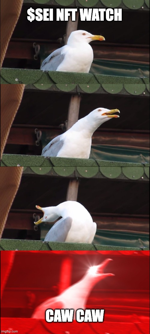 Free the Gulls tweet media