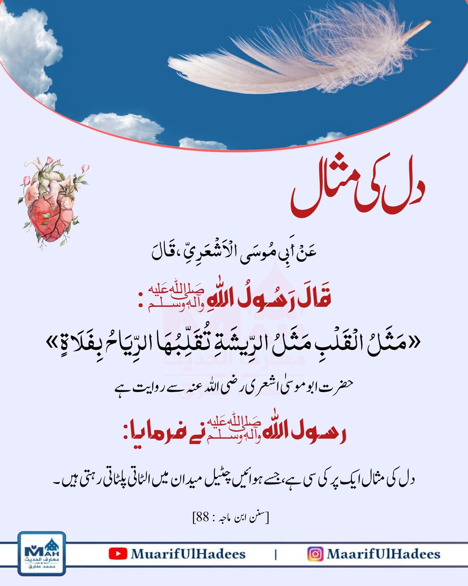 maarifulhadees's tweet photo. https://t.co/bqlB3KaraK