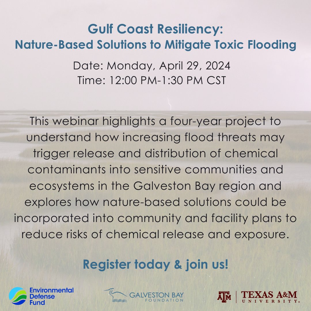 Join us for a #webinar that highlights a four-year project on understanding how increasing flood threats may trigger the release and distribution of chemical contaminants in the #GalvestonBay region and how nature can be used to help reduce these impacts. Register! ⬇️