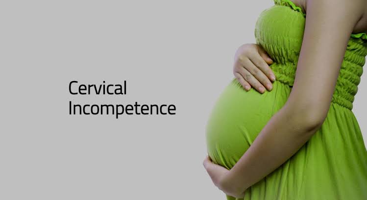 klinicalimaging's tweet photo. What you need to know about cervical incompetence.

#cervicalincompetence 
#pregnancyjourney 
#ultrasound #pregnant #obgyn #miscarriageawareness #miscarriage #sonography #nurses #sonographystudent #doctors 
Thread 🧵 👇👇👇 https://t.co/GHu2ye0rT7