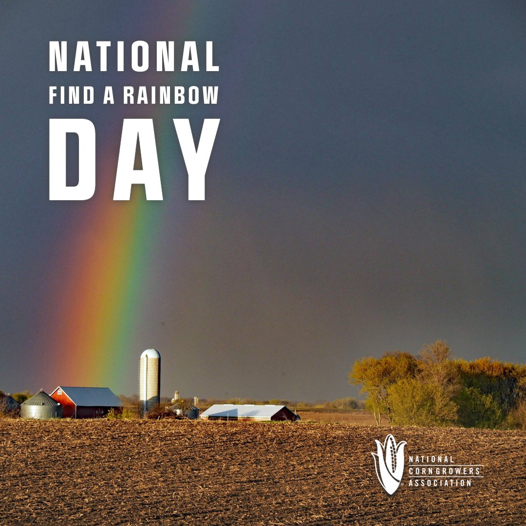 Show us what ya got! 🌈 Post your best rainbow captures in the comments! #FindARainbowDay 📸 📷 : Rose Wurtzberger (Fields-of-Corn.com)