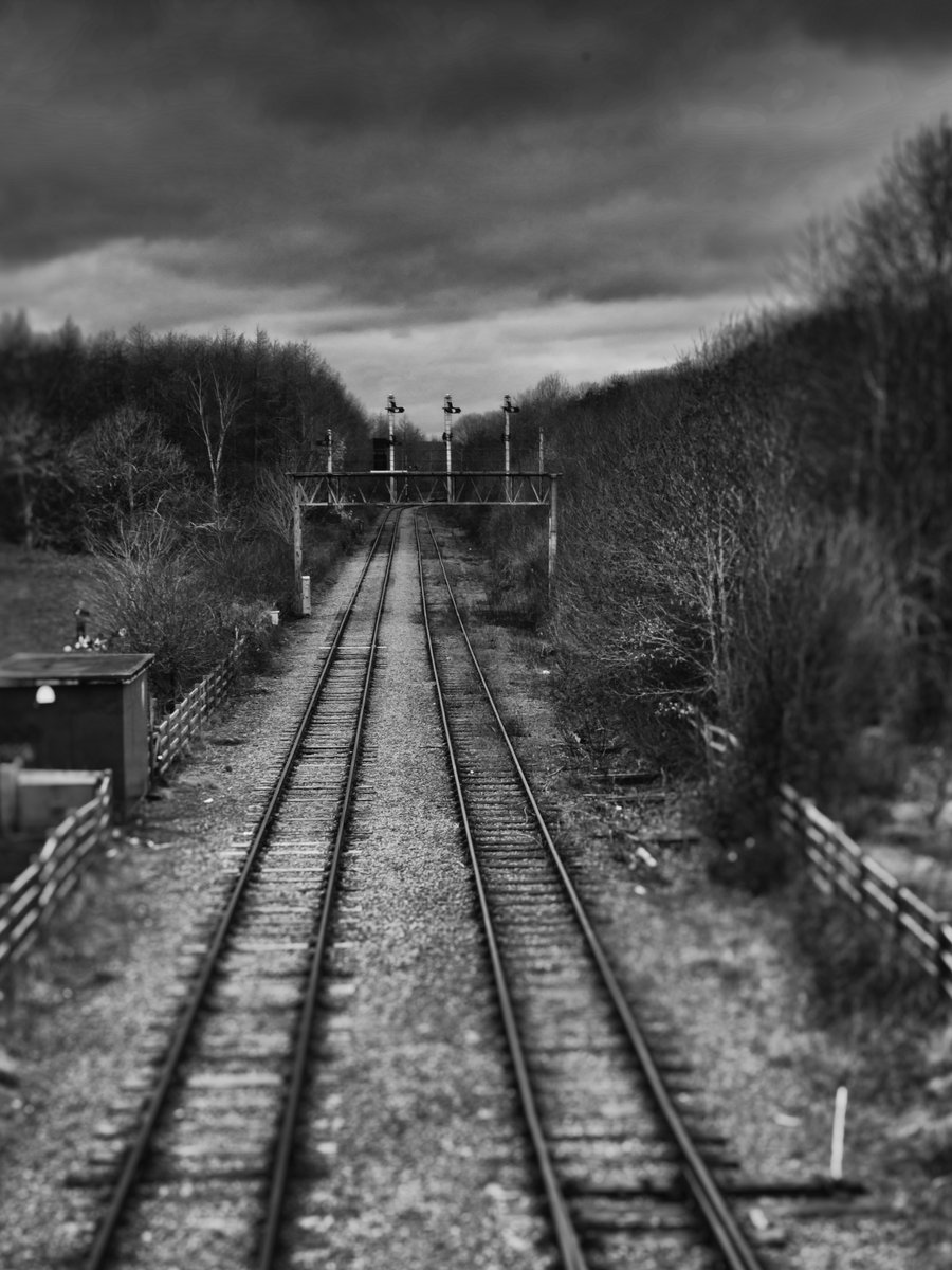 #GreatCentralRailway(North) #Railway 
#RushcliffeCountryPark, #Ruddington, February 2024.