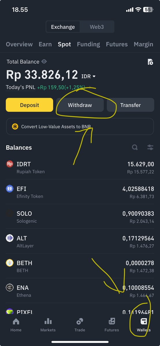 pamanberuang 🇮🇩 tweet media