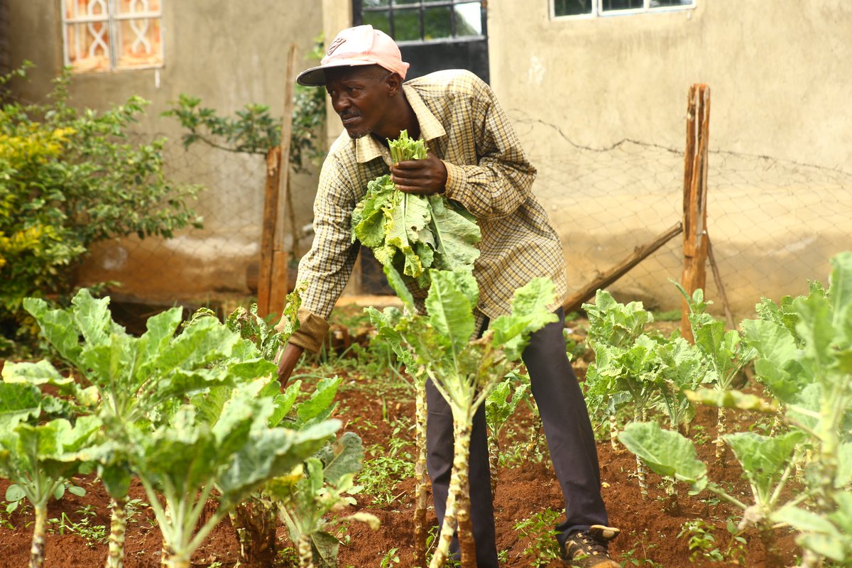 Every season paints a masterpiece in the fields – the symphony of colors, the dance of crops, and the harmony of nature's rhythms. Agriculture isn't just a livelihood; it's poetry written by the earth itself. #BeautyOfAgriculture