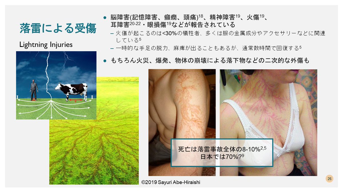 sy_littlelily's tweet photo. スポーツでの落雷事故が絶えないことを非常に残念に思っています。安全管理のプロがおり、適切な情報収集と判断がなされていればその多くは防げるものです。
正しい知識が広まることを願いこちらの講義を72時間の間無料開放したいと思います。タイトルは「スポーツにおける落雷事故と安全管理」です。 https://t.co/2MYBbuEa4x