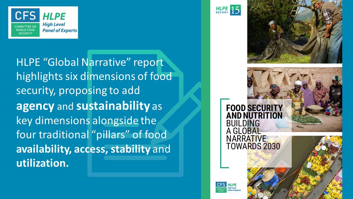 📘The @UN_CFS HLPE-FSN report '#Foodsecurity and #nutrition: building a global narrative towards 2030' advocates for a #HumanRights based transformation of #foodsystems. Read it in 6⃣ languages ⬇️ fao.org/cfs/cfs-hlpe/p…