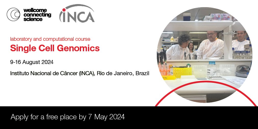 Applications for our free #SingleCellRio24 course are open! Join our #LatAm network! 🇧🇷 Applicants from all over Latin America are welcome to join us in Rio to learn from the best in #SingleCell genomics. Travel bursaries available! 🗓️Apply by 7 May: bit.ly/3J3Wu3D