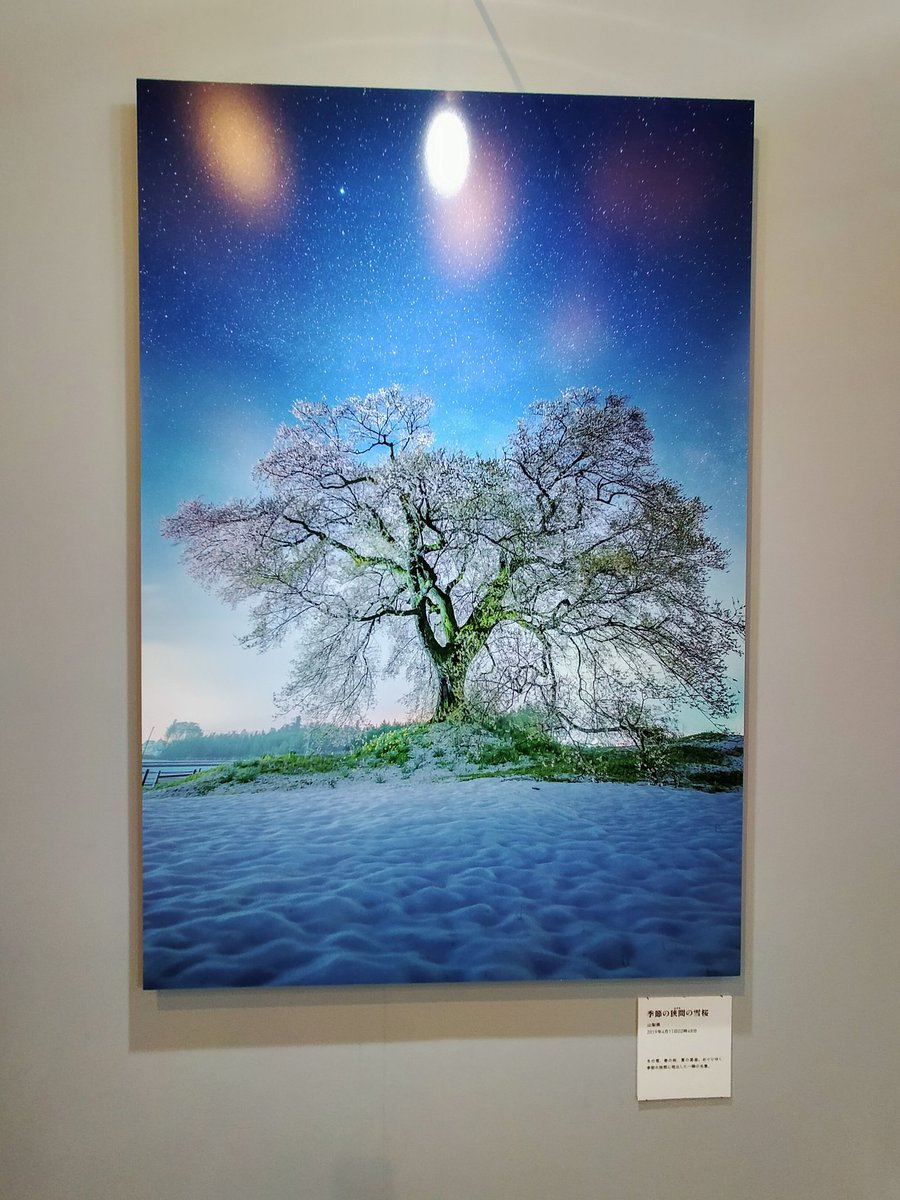 WpvyMNnIsAVdrdS's tweet photo. 【KAGAYA世界の世界展】
岩手県盛岡市の
『岩手銀行赤���ンガ館』で、
星空写真家KAGAYAさんによる
写真展『KAGAYA 星空の世界展』を
2024年3月2日-4月7日迄開催中
見応えあり🥰😍

金運龍如爆上👆
🐉さんありがとう✨✨✨
愛しているよ💖💖💖

#岩手県
#盛岡市
#星空写真
#KAGAYA https://t.co/bw0gKsjmRy