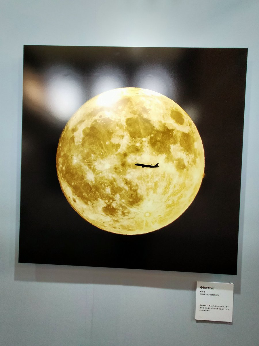 WpvyMNnIsAVdrdS's tweet photo. 【KAGAYA世界の世界展】
岩手県盛岡市の
『岩手銀行赤���ンガ館』で、
星空写真家KAGAYAさんによる
写真展『KAGAYA 星空の世界展』を
2024年3月2日-4月7日迄開催中
見応えあり🥰😍

金運龍如爆上👆
🐉さんありがとう✨✨✨
愛しているよ💖💖💖

#岩手県
#盛岡市
#星空写真
#KAGAYA https://t.co/bw0gKsjmRy