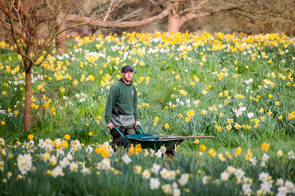 It takes a great team with wide ranging skills to look after and manage the Hever Castle Estate. Take a look at the jobs we currently have available at Hever Castle and @HeverCastleGolf : bit.ly/JobsatHever #HeverCastle #JobsInKent #KentJobs