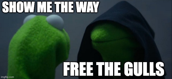 Free the Gulls tweet media