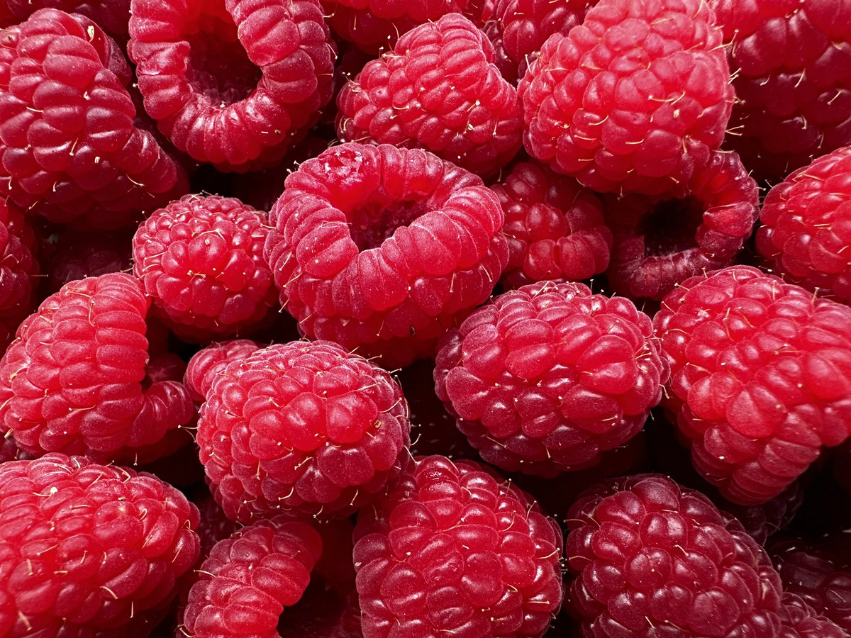 Indulging in nature’s jewels today – fresh, juicy raspberries bursting with flavour! ❤️ Not only are they delicious, but they’re also packed with antioxidants and vitamins. Who else can’t resist these little bites of goodness? #RaspberryLove #HealthyEating