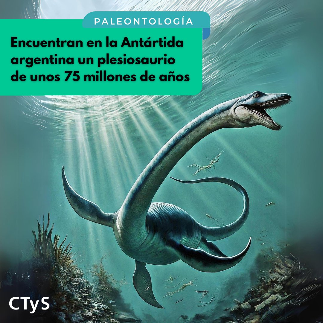 Encuentran en la Antártida argentina un plesiosaurio de unos 75 millones de años Se trata de una nueva especie de reptil marino, de unos siete metros de largo. El descubrimiento aporta información clave en materia de historia evolutiva: acortar.link/shorten