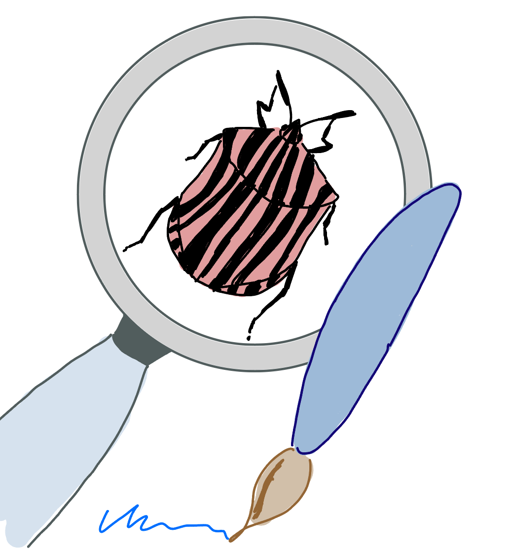 maralampert's tweet photo. A new @focalplane_jcs blog post is out on how to write #BugReports / #FeatureRequests and why it is an important skill to be able to write them🖊️🐞⭐️. Feedback ♥️ly welcome! https://t.co/pY01PVqy2d https://t.co/lIHhmWJ4MV