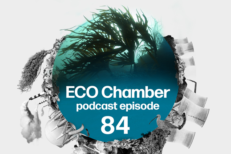 The latest #ECOChamber podcast is live⚡️as we explore @thameswater's latest 💷 financial woes, the tension created with @Ofwat's📈 growth duty PLUS a deep-dive into 🌊 kelp forests of #Sussex and @SussexKelp's plans to restore them. Listen 🎧 for free podfollow.com/ends