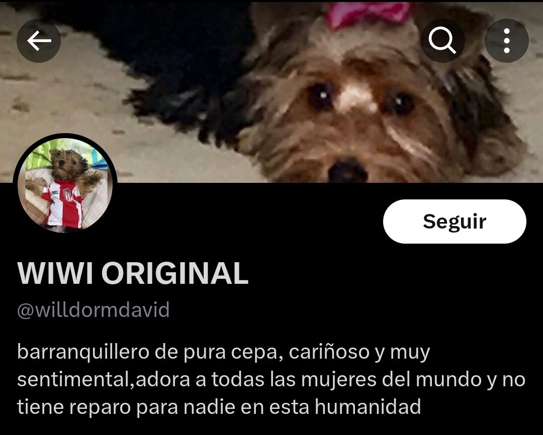 SoyCruzado83's tweet photo. @willdormdavid @LilianaCastanoG Que delicado eres en tus palabras, cuando en tu perfil dices ser cariñoso con las mujeres. Al final como buen petriste vale verg4, defendiendo lo indefendible https://t.co/29WjerFMlS