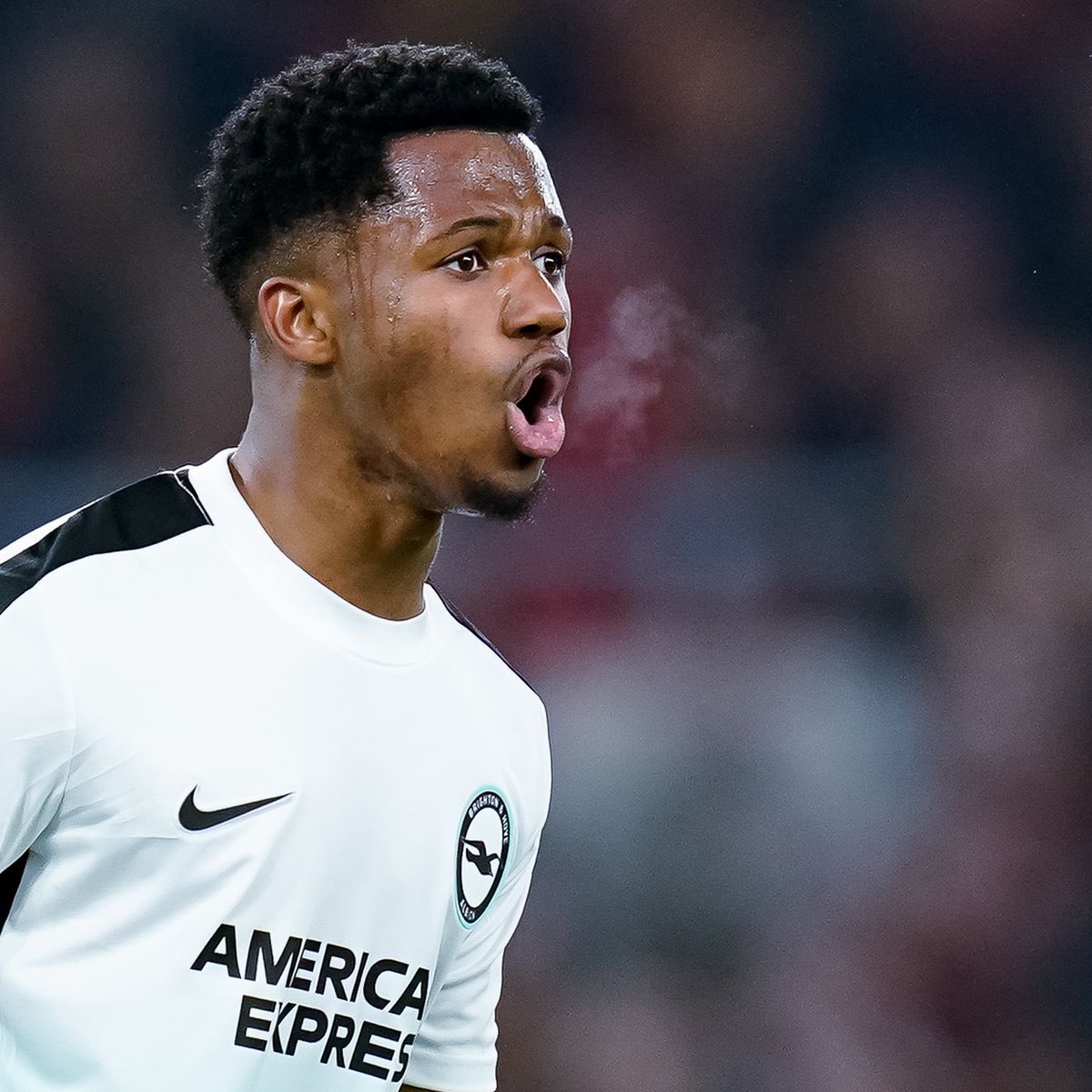 Brighton Bubble tweet media