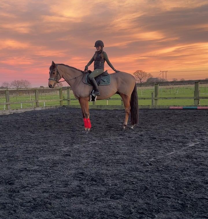 Who can resist a sunset pic 😍 Reminder: Last few days to grab a free Easter treat when you order online 🐰 @harrys_newchapter . . . #horseriding #Cavaletticollection #equestrian #eventing #equestrians #horserider #showjumping #equestrianlife #eventhorse #dressage #jump ...