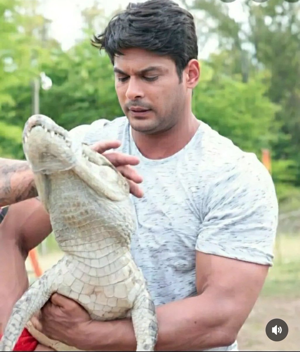 Kitne pyaar se Sid ne iss crocodile 🐊 ko pakda hai 😘☺️🥰♥️....

8YRS OF KKK7 WINNER SID

#SidharthShukla