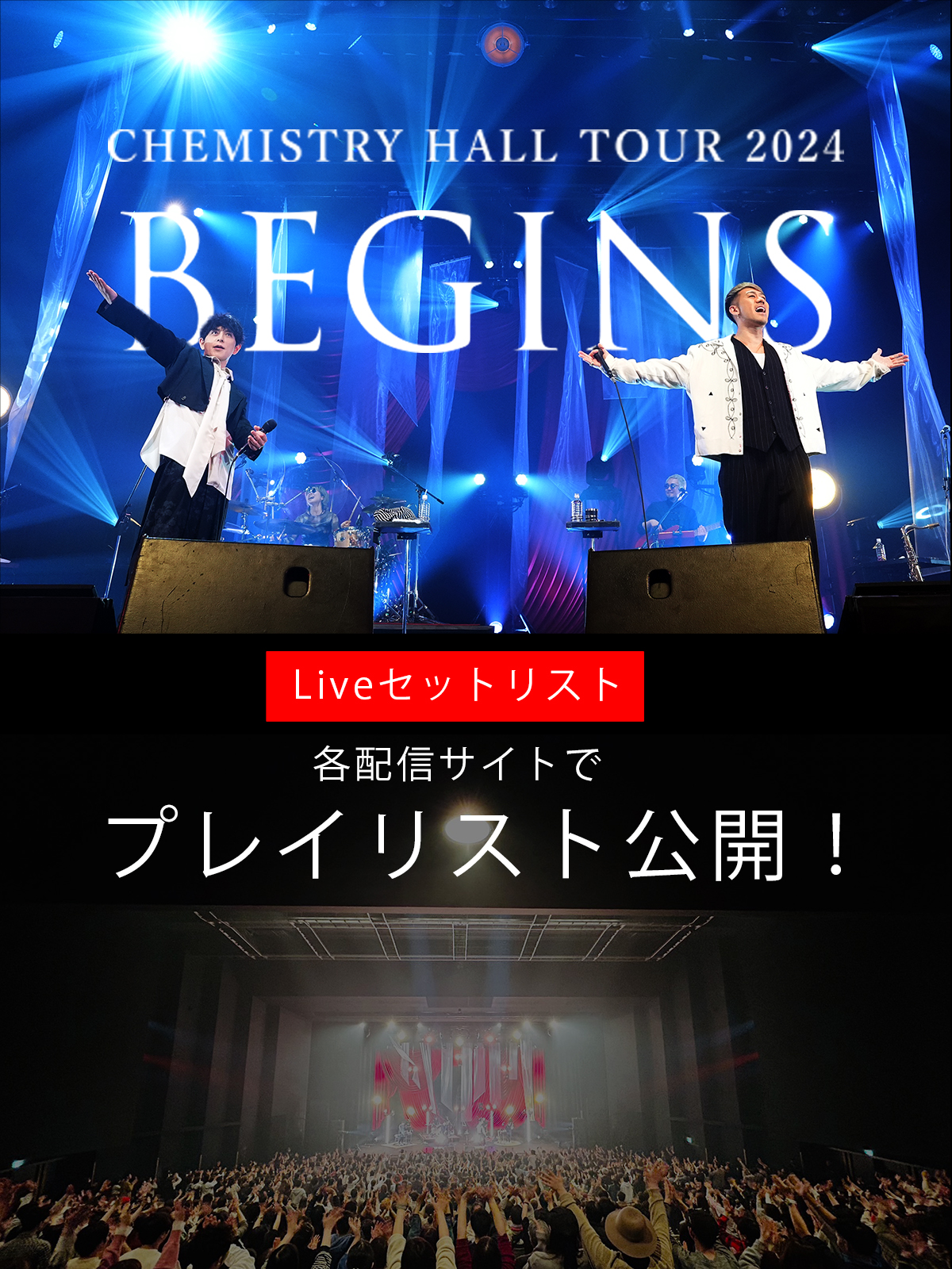 ケミストリー CHEMISTRY ライブスタッフ用 アクセスオールエリア