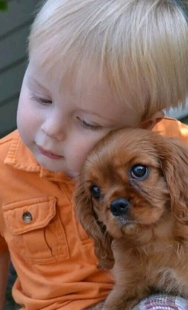 Татьяна Попова (@tatanap97779703) on Twitter photo 